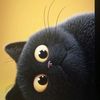 user7948170209081