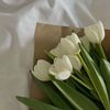 najah_015