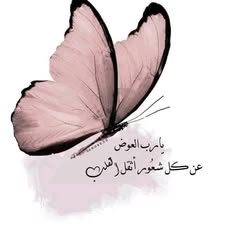 user8006096157944