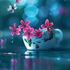 user421987464