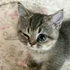 trmngphng2