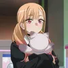 shelterkirill