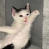 แม่เรียกไอตี๋🐱🐾