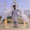 mr.khan03024
