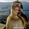 meohayngu13