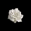 roseblanche