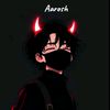 aarosh.raee0