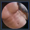 renato.ferreira508