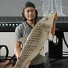 angler_segah
