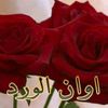 user1373388834254