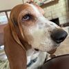 the.rosco.b