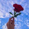user4161410460242