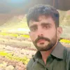 muhammadsarwarbha44