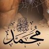 user7926124723305