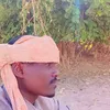aliadam7196