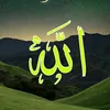 user5629156712467