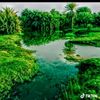 user14180042458227