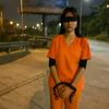 dabdoba_dodo