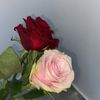 user1060054027878