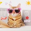 MiVidaEnMiniClip
