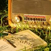 radiochaobuoisang