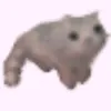 not_julu