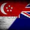 SG man in NZ