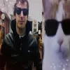 tiramissucake_ymn