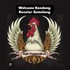 kandang.rooster0