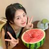 qlmyyn26
