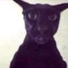 evil_lary911