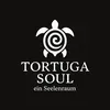 tortuga3707