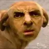 random.videos6200