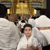 adam.abdo4852