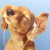 mixyshifting