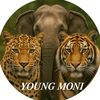youngmoni01