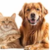 getpetnomicsworld
