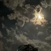 alisba_estix