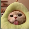 kitty_loo4