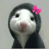 qwpsbmexushbx