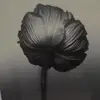 lilsdeals
