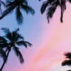sunsets_742