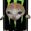 pupperoni18