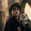 ayham.potter