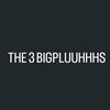 3_bigpluuhhhs