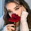bita.bita9227
