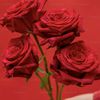 user3610226284146