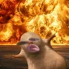 mey_9907