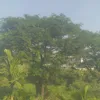 aung.hein.lin495