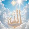 md.mursalin7117